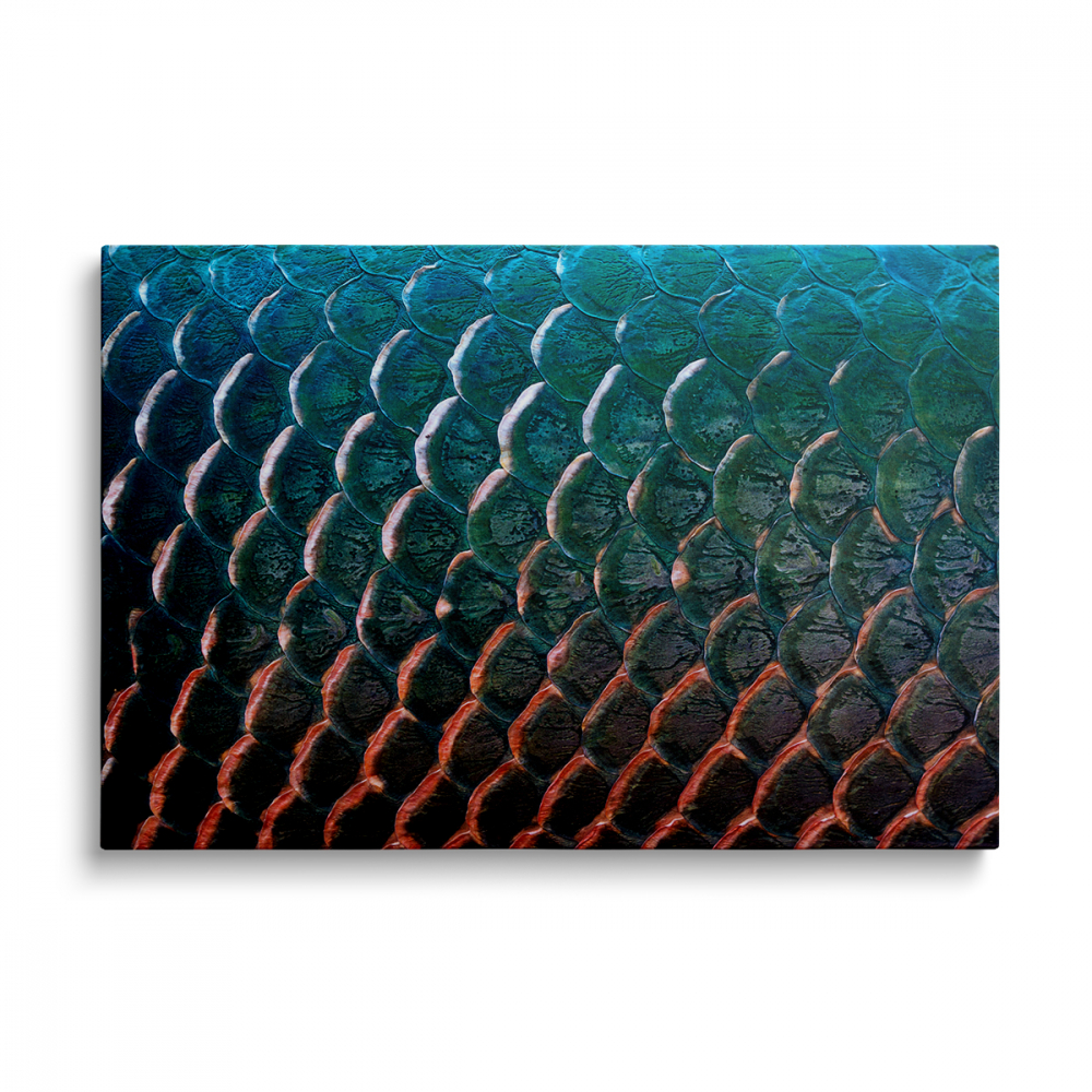 Tablou Canvas Abstract Scaly [1]