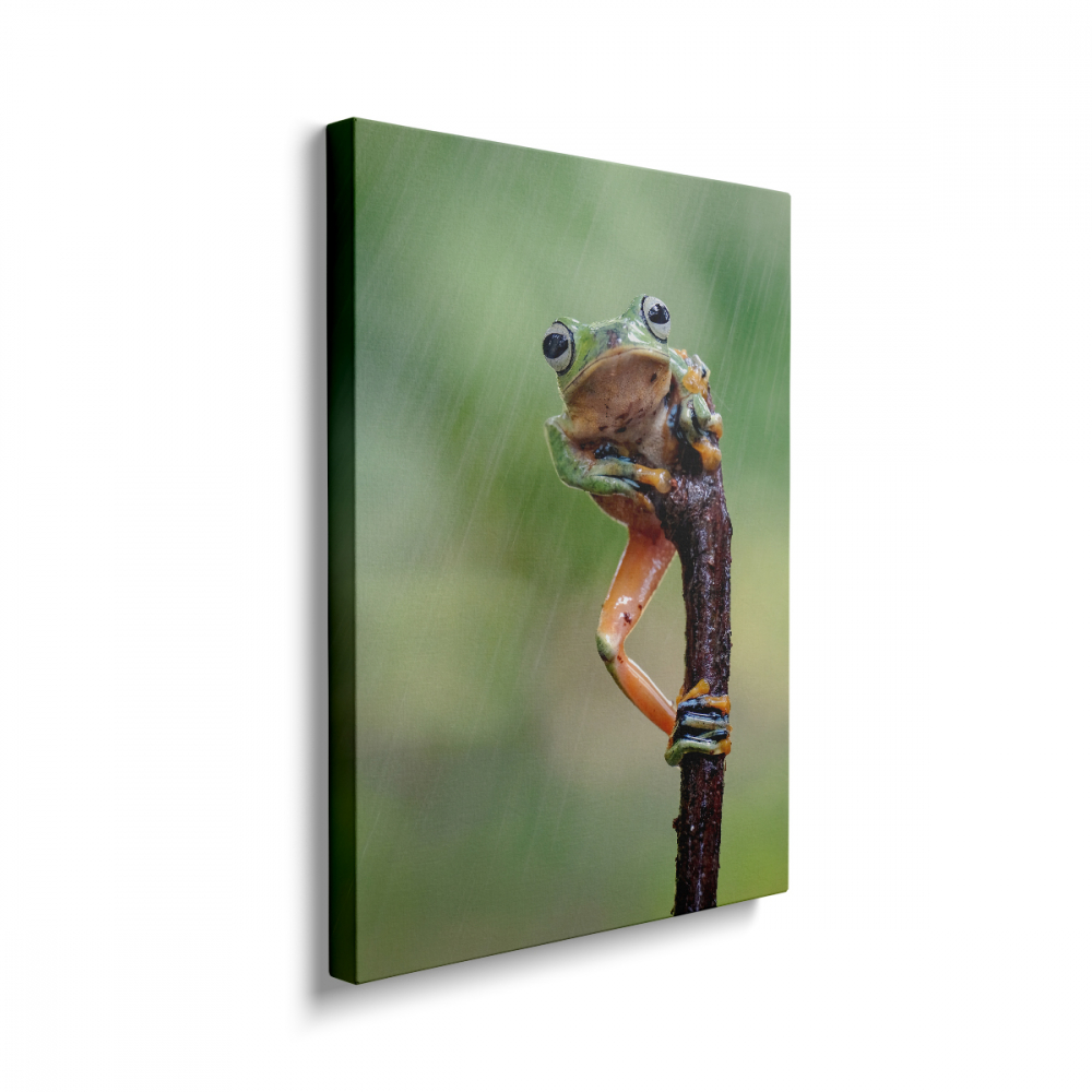 Tablou Canvas Brotac [2]