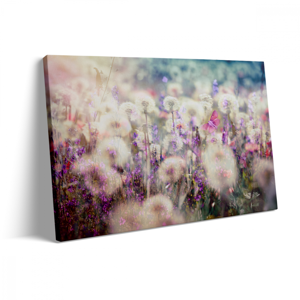 Tablou Canvas Câmp cu Păpădii [3]