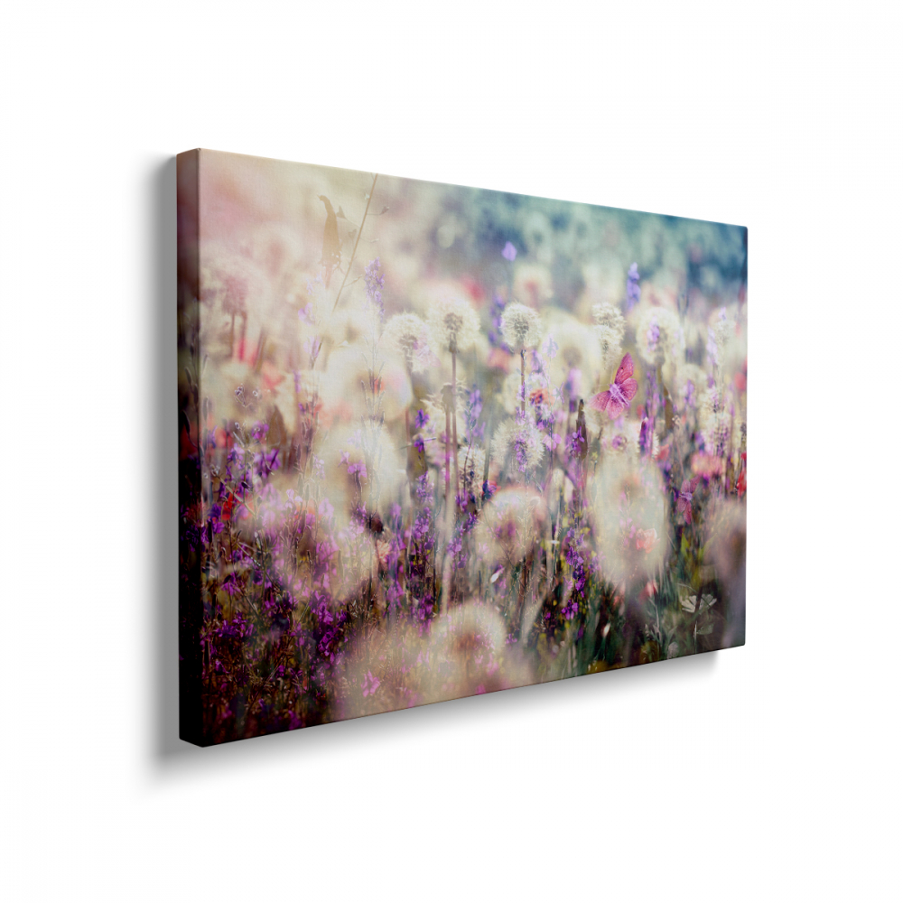 Tablou Canvas Câmp cu Păpădii [2]