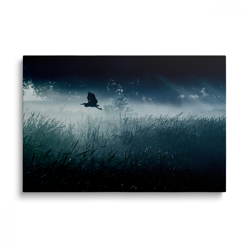 Tablou Canvas Câmp Nocturn [1]