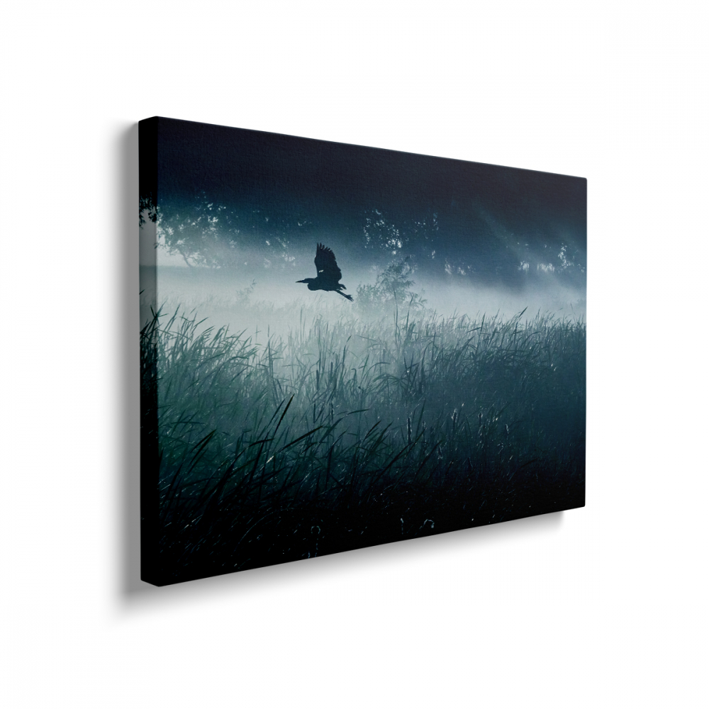 Tablou Canvas Câmp Nocturn [2]