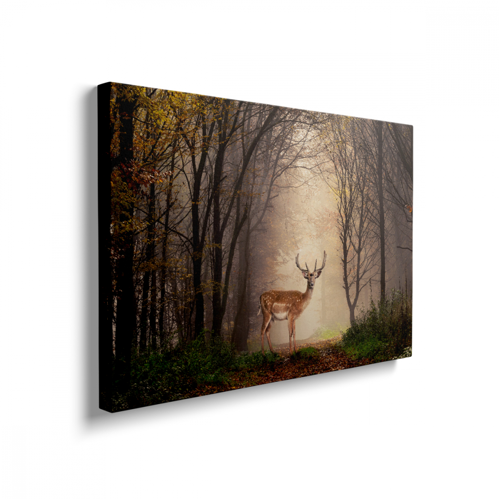 Tablou Canvas Cerb în Pădure [2]