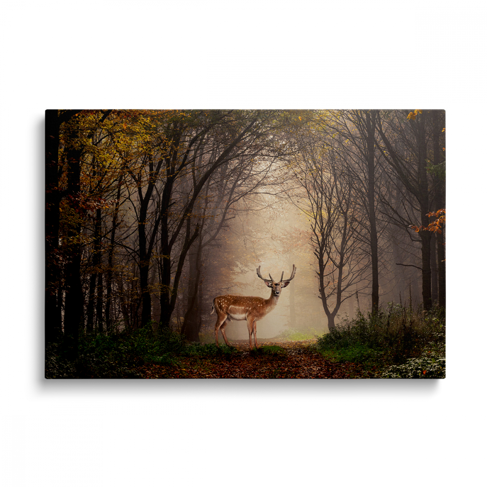 Tablou Canvas Cerb în Pădure [1]
