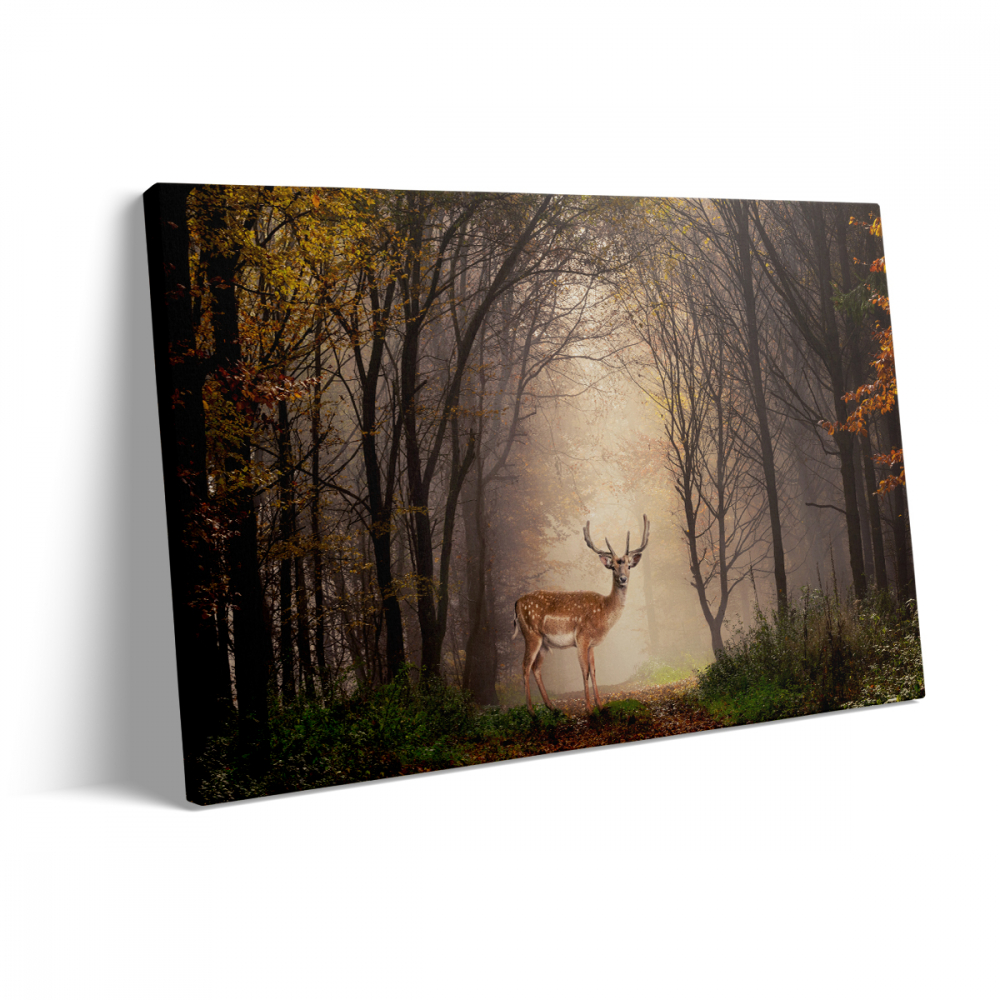 Tablou Canvas Cerb în Pădure [3]