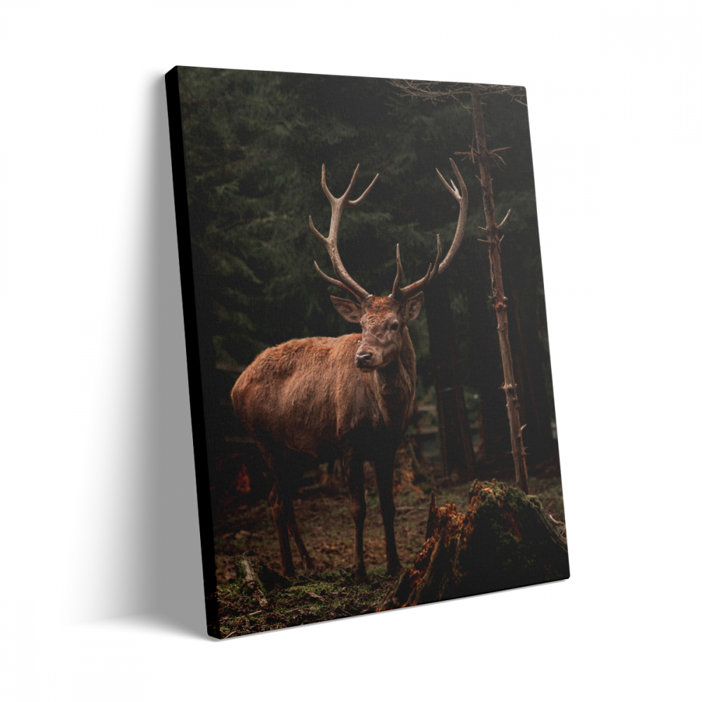 Tablou Canvas Cerb1 [3]