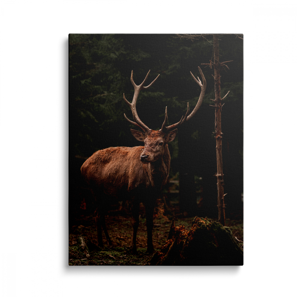 Tablou Canvas Cerb1 [1]