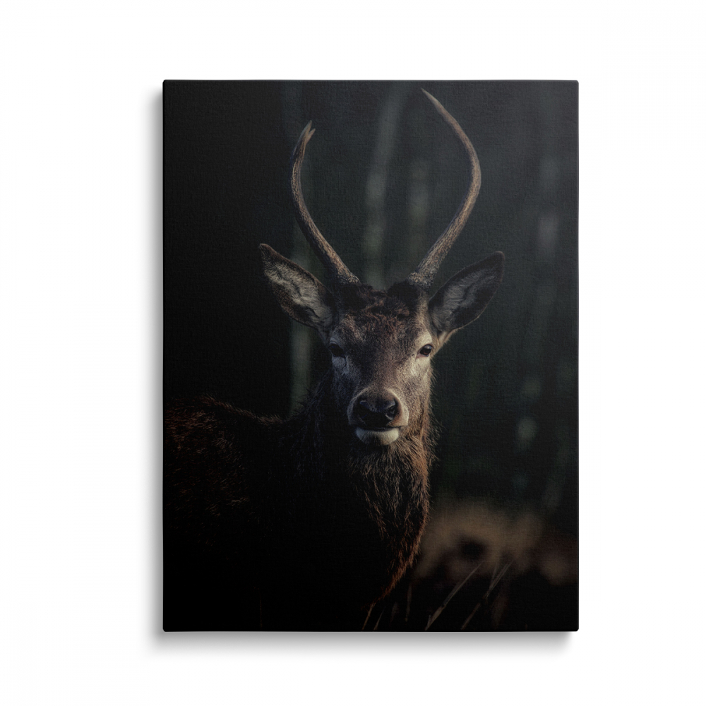 Tablou Canvas Cerb2 [1]