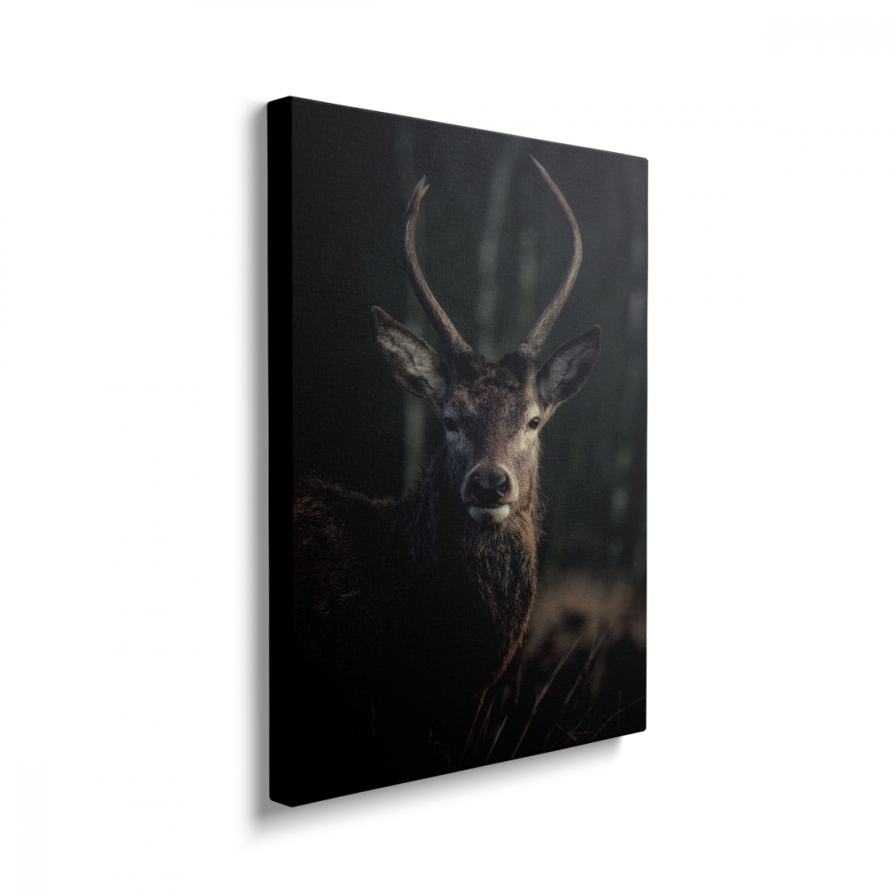 Tablou Canvas Cerb2 [2]