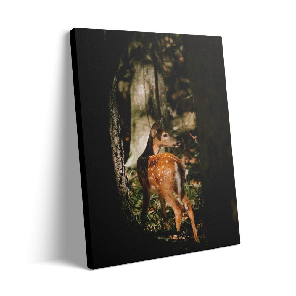 Tablou Canvas Cerb3 [3]