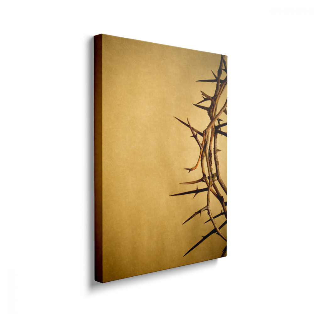 Tablou Canvas Coroana de Spini [2]