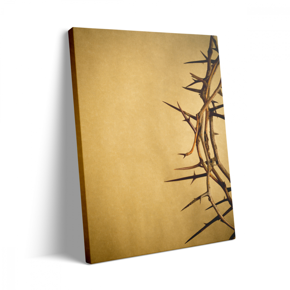 Tablou Canvas Coroana de Spini [3]