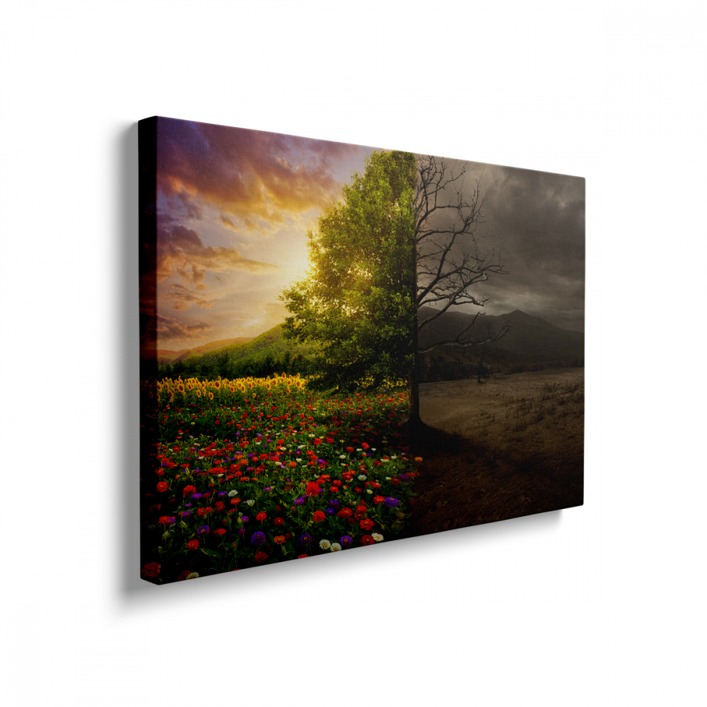 Tablou Canvas Două Naturi [2]