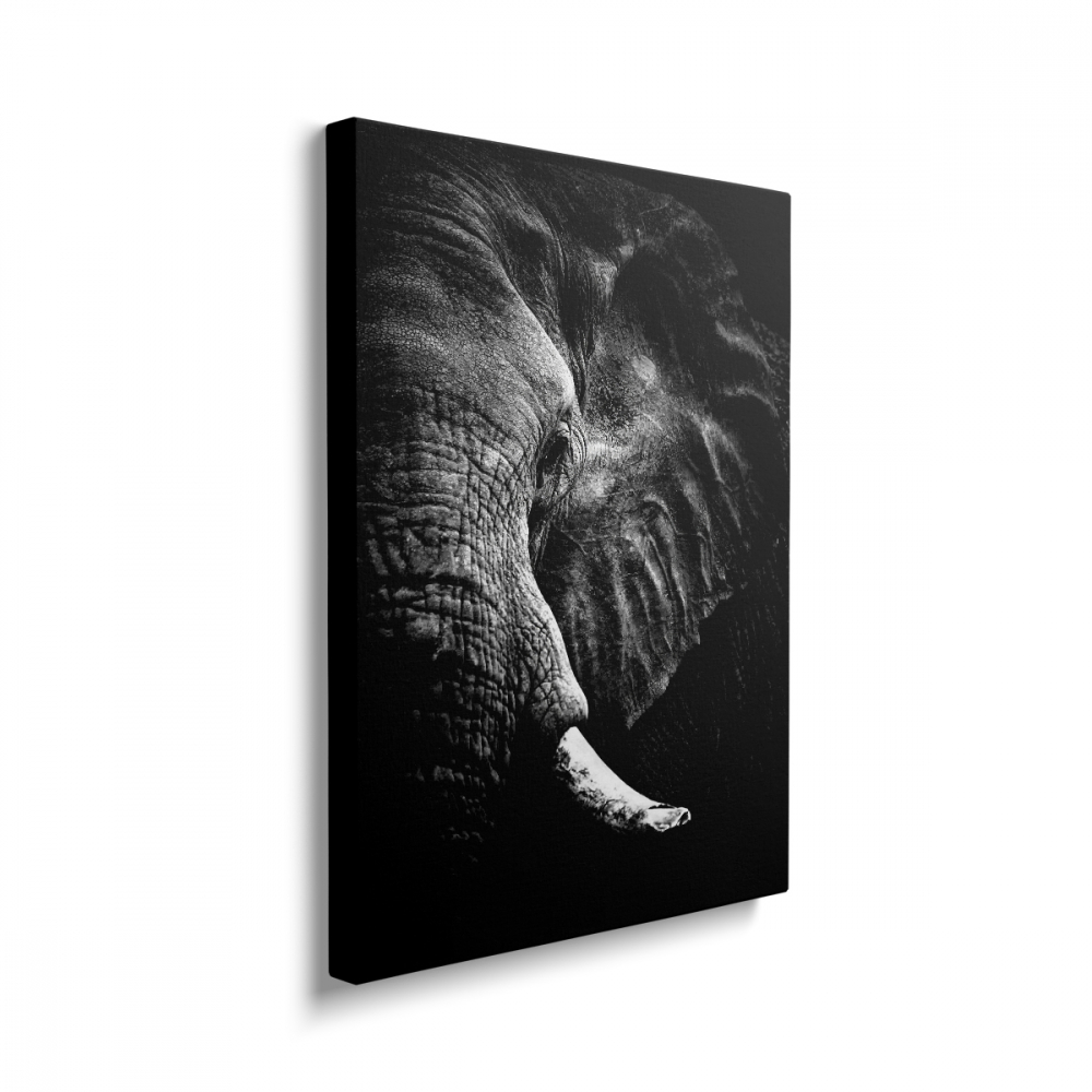Tablou Canvas Elephant Black/White [2]