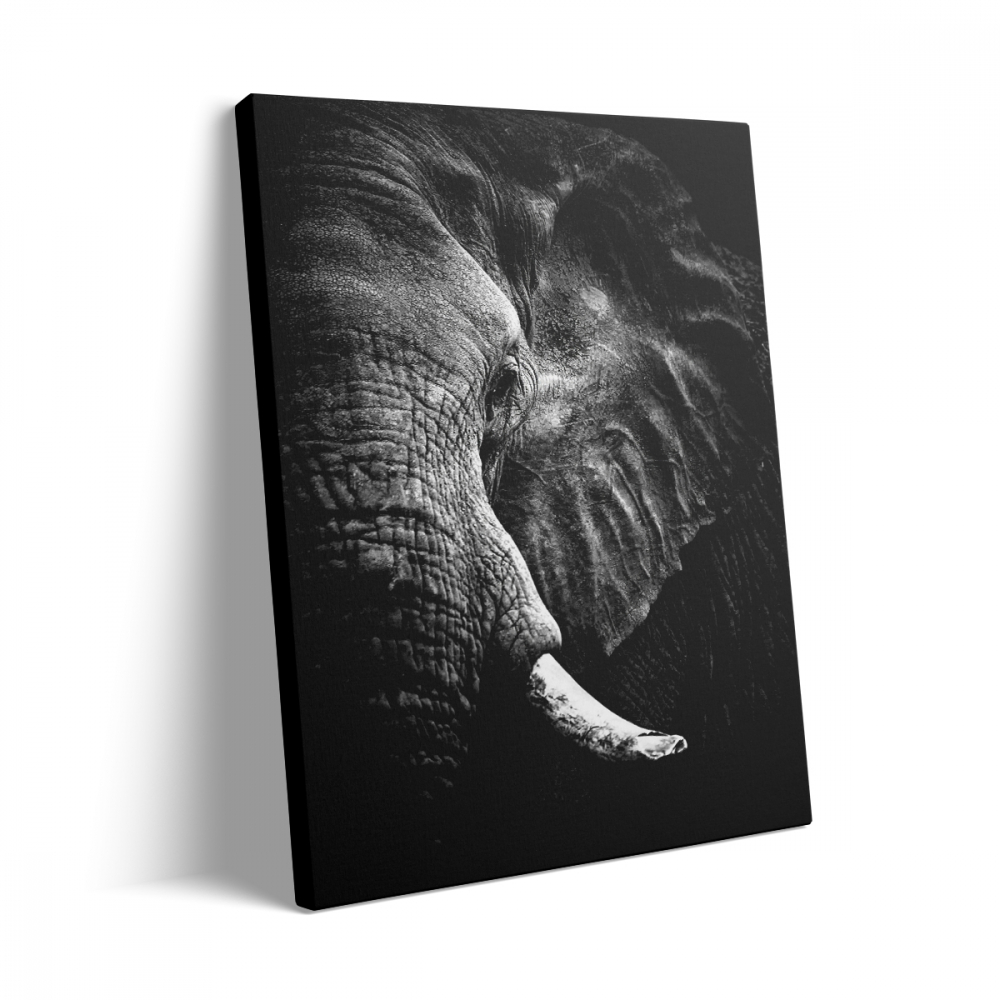 Tablou Canvas Elephant Black/White [3]