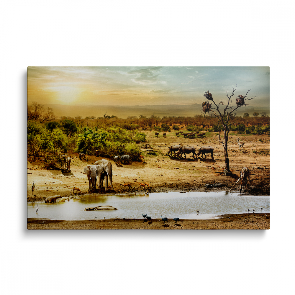 Tablou Canvas Elephants in the Desert [1]