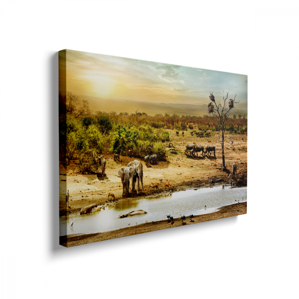Tablou Canvas Elephants in the Desert [2]
