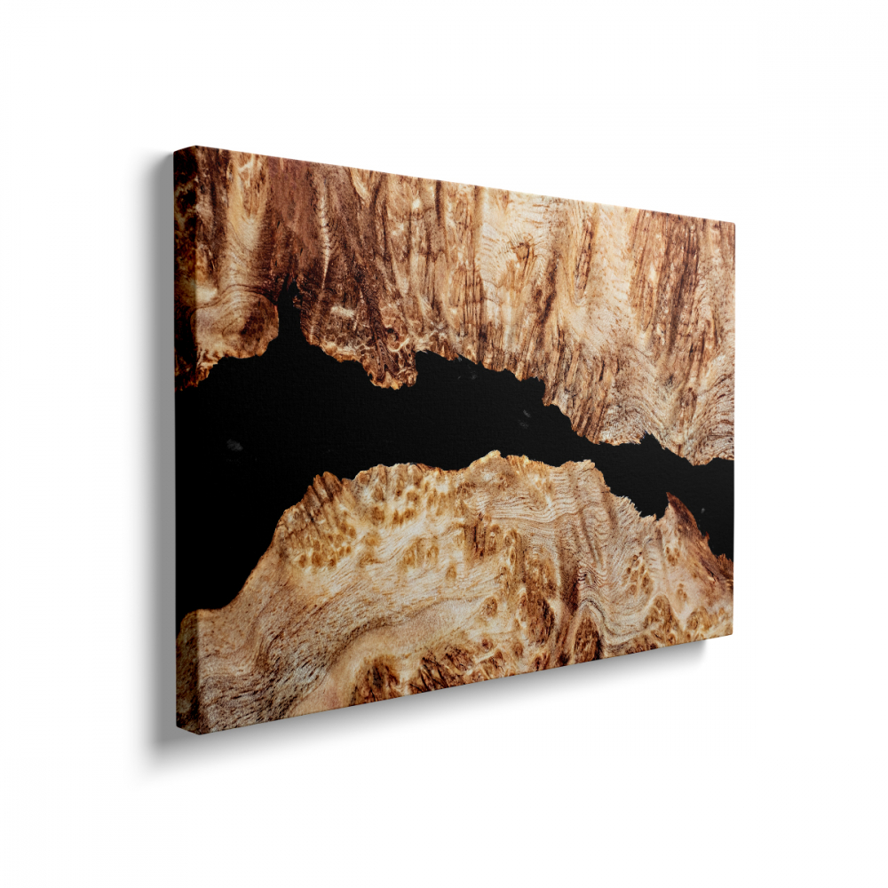 Tablou Canvas Epoxidic Negru [2]