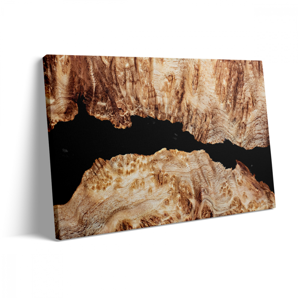 Tablou Canvas Epoxidic Negru [3]