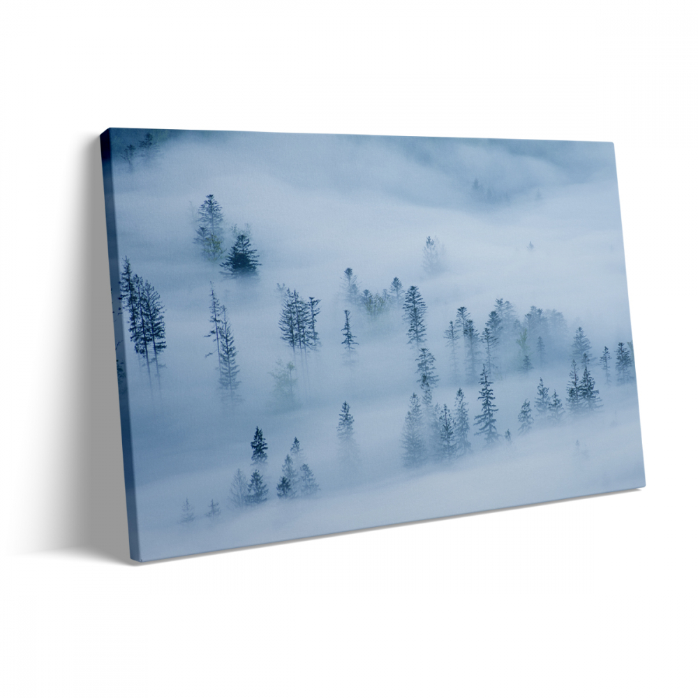 Tablou Canvas Foggy Forest [3]