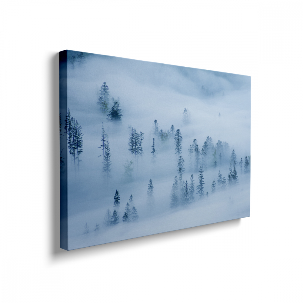 Tablou Canvas Foggy Forest [2]
