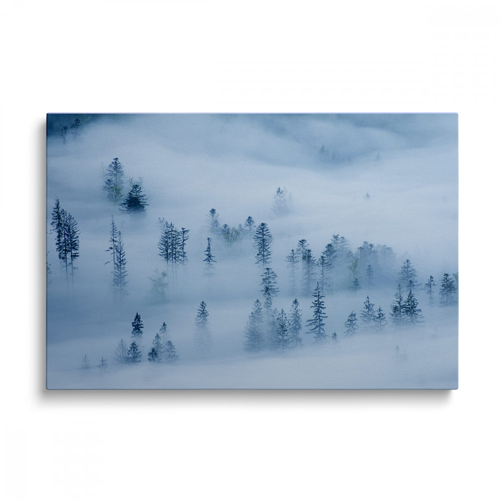 Tablou Canvas Foggy Forest [1]