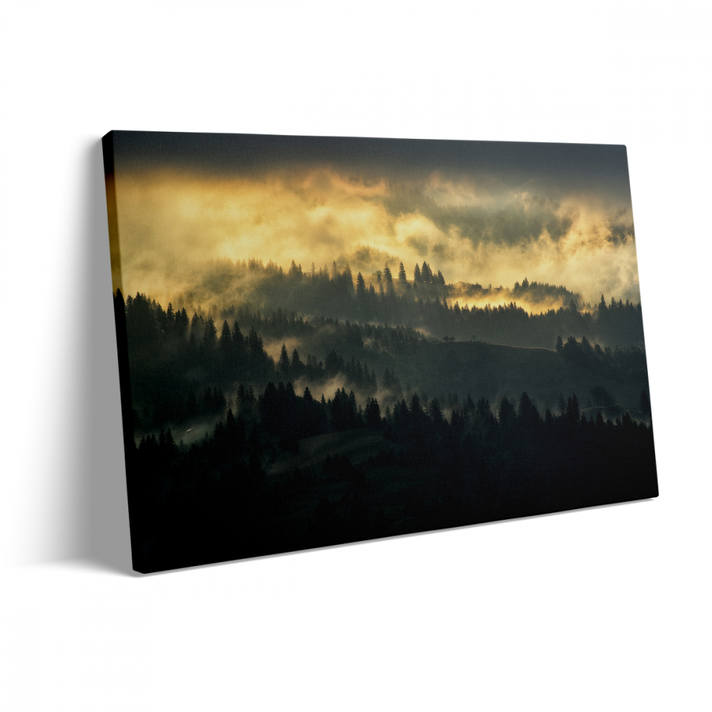 Tablou Canvas Forest 2 [3]