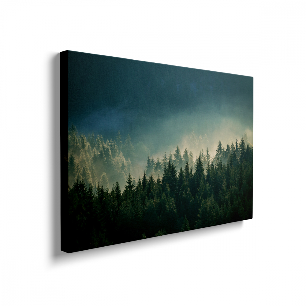 Tablou Canvas Forest [2]