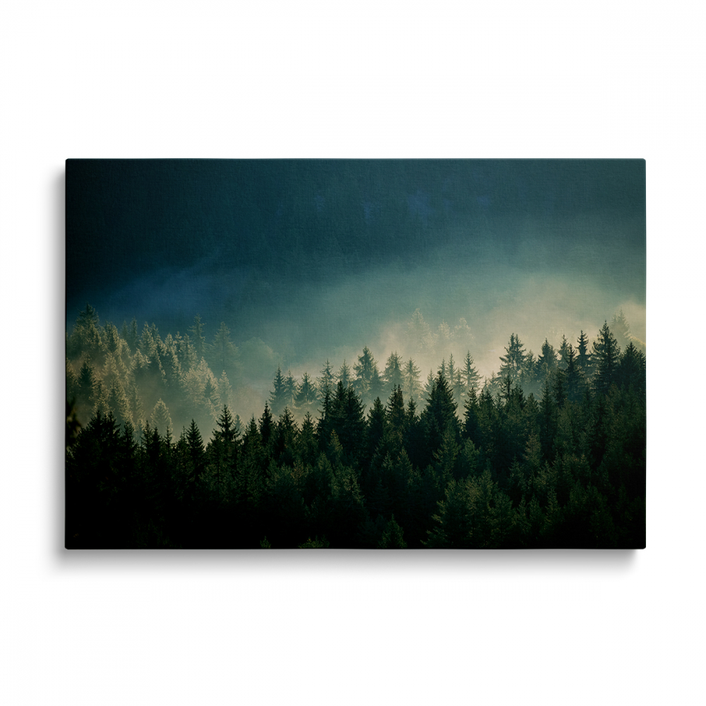 Tablou Canvas Forest [1]