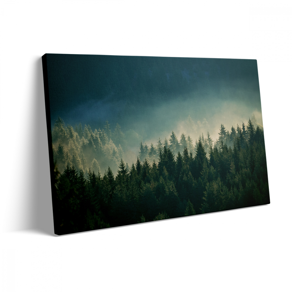 Tablou Canvas Forest [3]