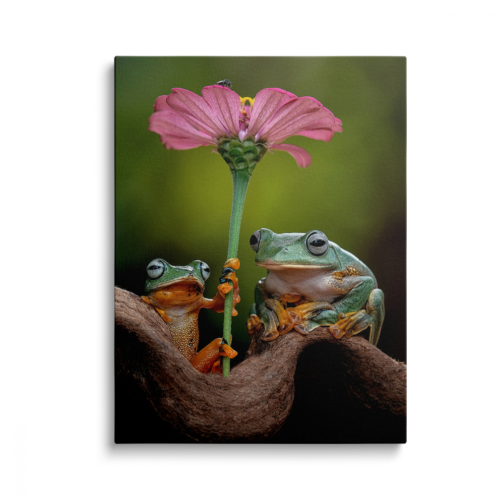 Tablou Canvas Frogs [1]