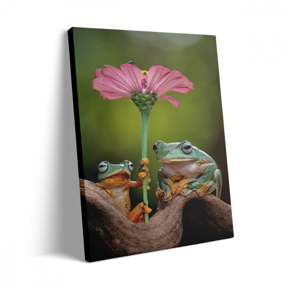 Tablou Canvas Frogs [3]