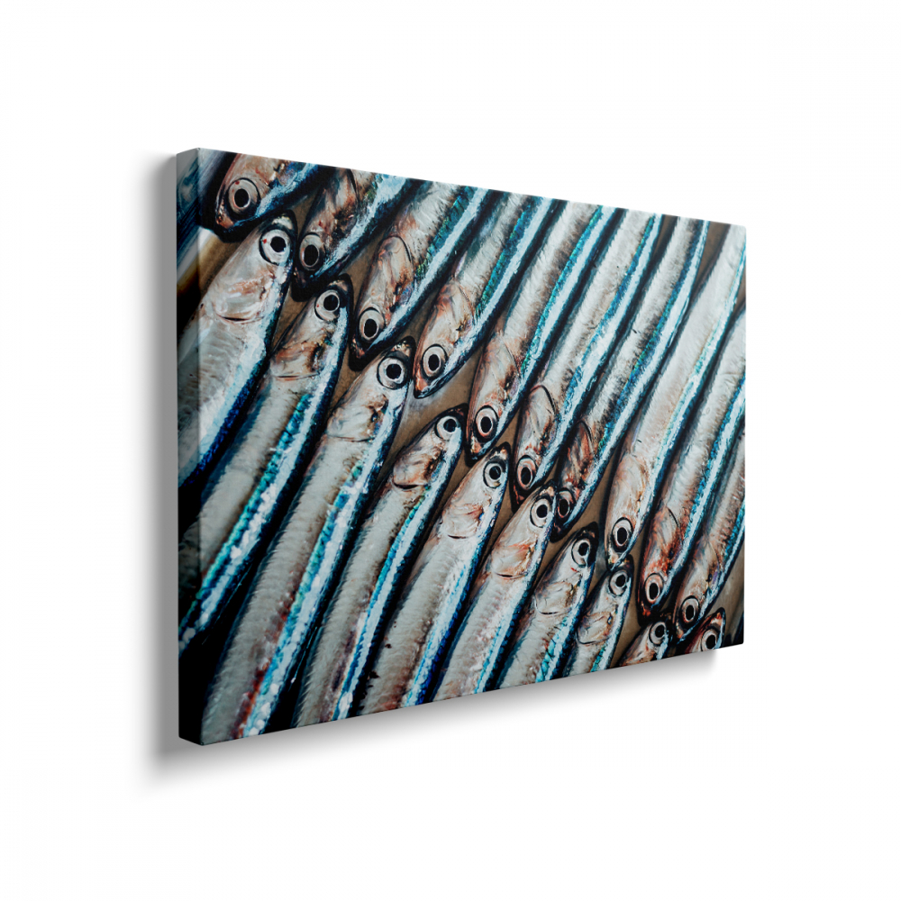 Tablou Canvas Group Of Fish [2]