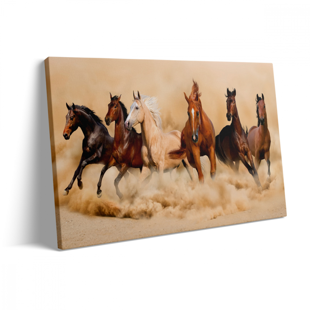 Tablou Canvas Horses 1 [3]