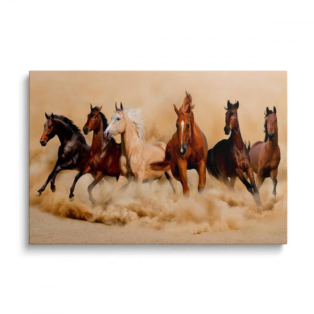 Tablou Canvas Horses 1 [1]