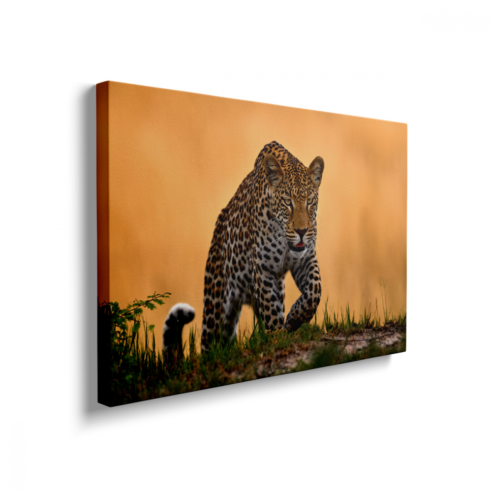 Tablou Canvas Leopard Moves [2]
