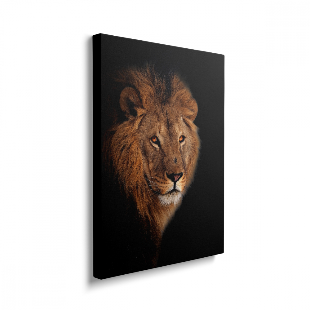 Tablou Canvas Lion [2]