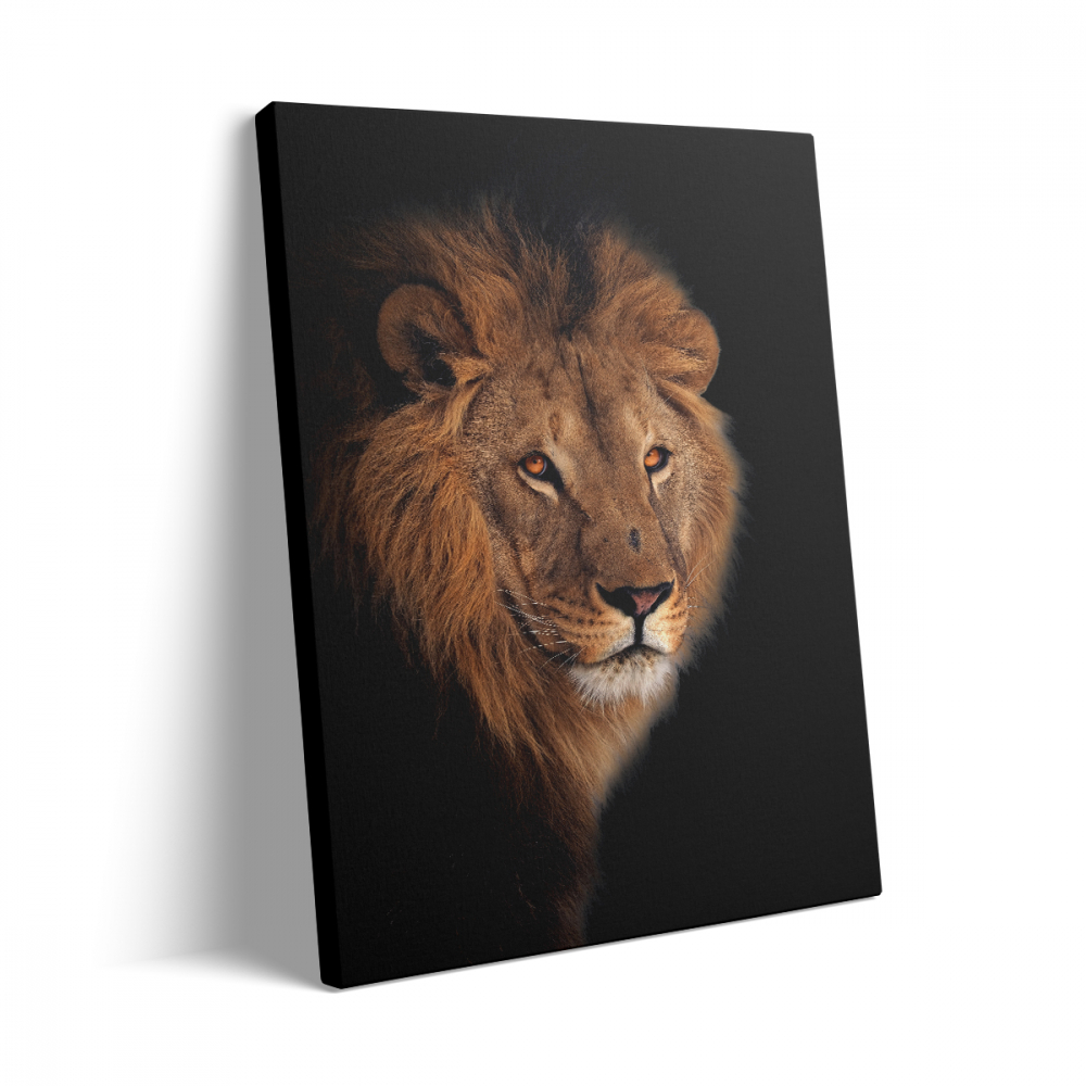 Tablou Canvas Lion [3]