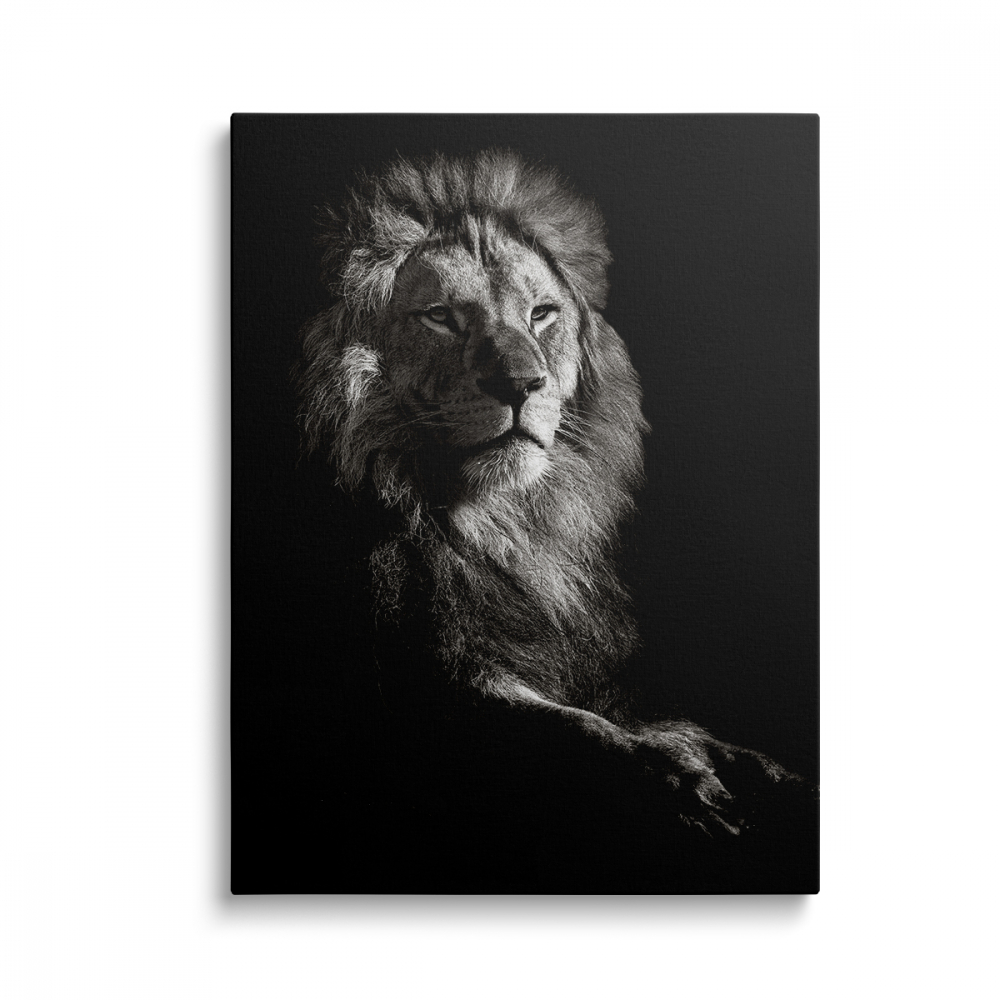 Tablou Canvas Lion Black/White [1]