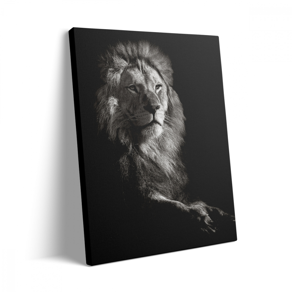 Tablou Canvas Lion Black/White [3]