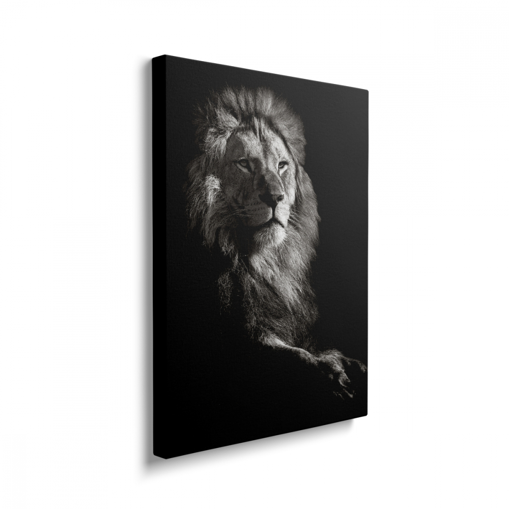 Tablou Canvas Lion Black/White [2]