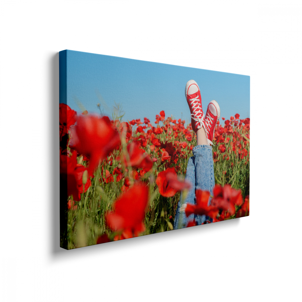 Tablou Canvas Maci Roșii [2]