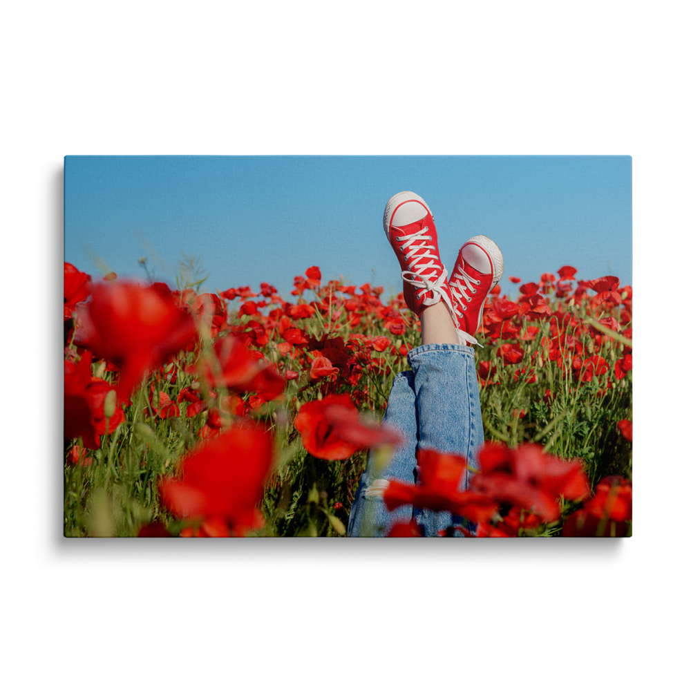 Tablou Canvas Maci Roșii [1]