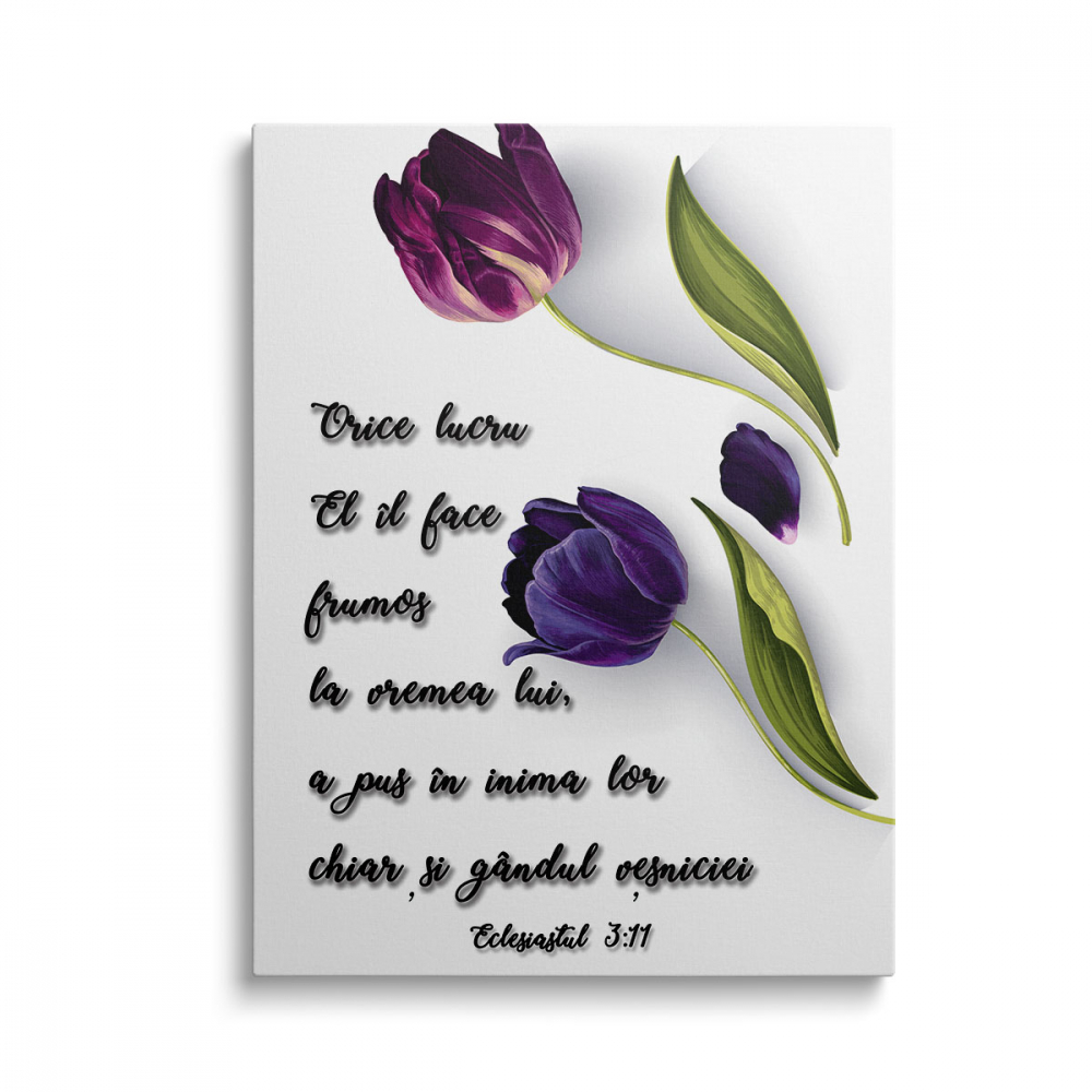 Tablou Canvas Orice lucru El îl face frumos [1]