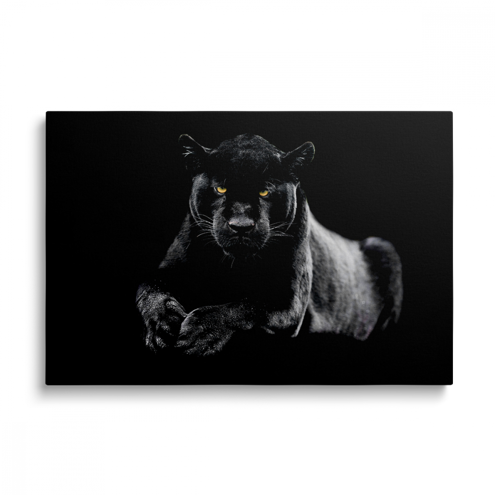 Tablou Canvas Pantera [1]