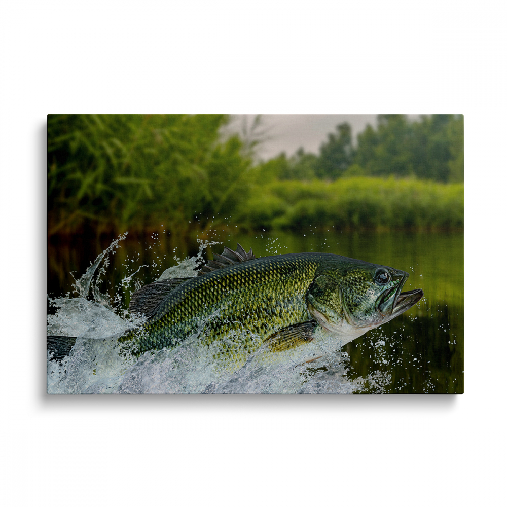 Tablou Canvas Pește de Apă Dulce [1]