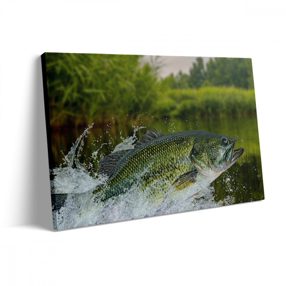 Tablou Canvas Pește de Apă Dulce [3]