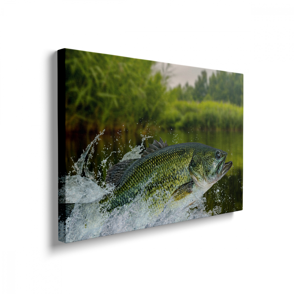 Tablou Canvas Pește de Apă Dulce [2]