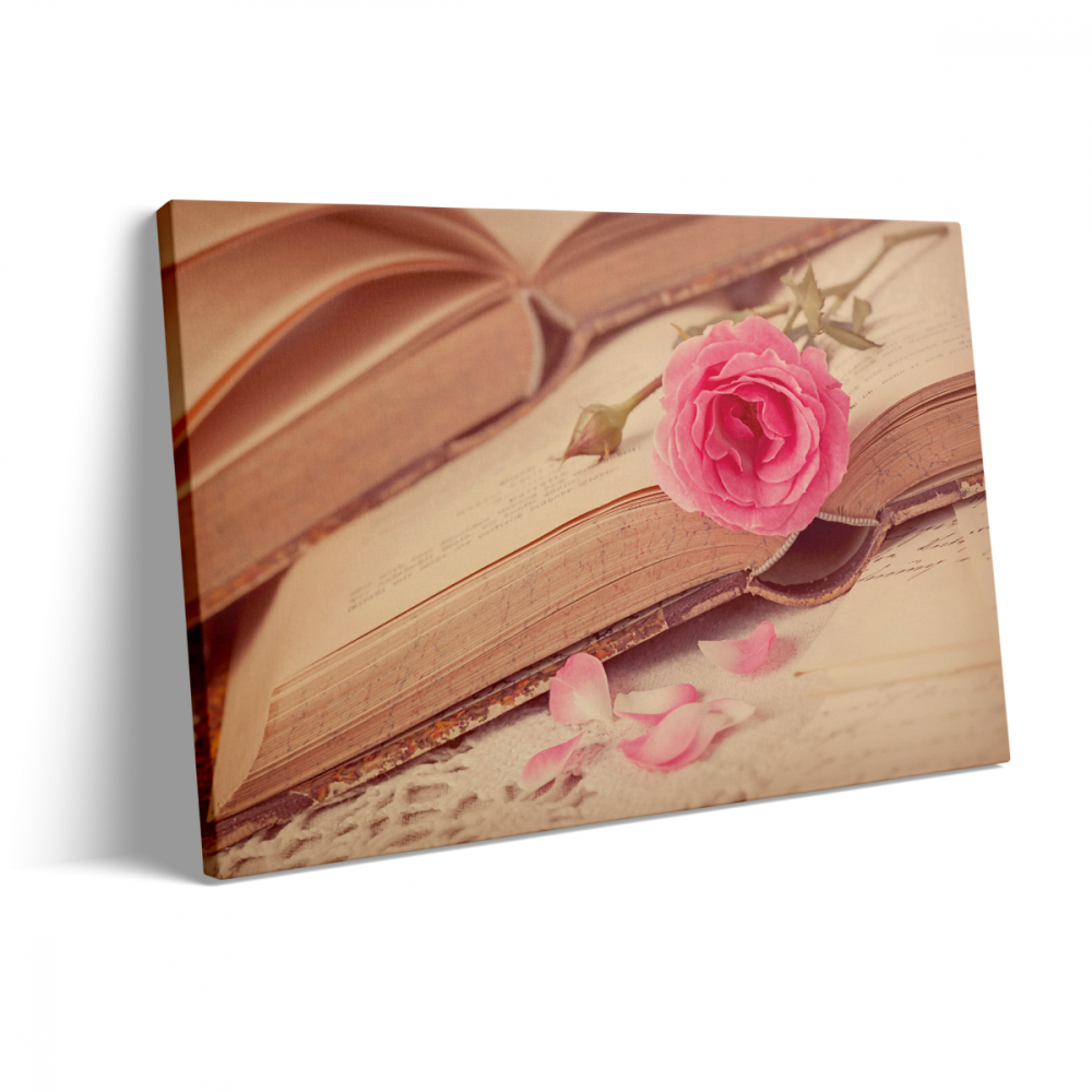 Tablou Canvas Pink Rose [3]