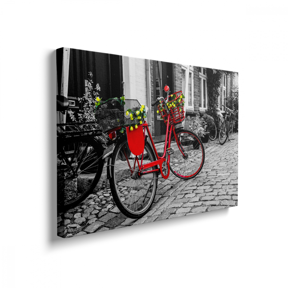 Tablou Canvas Red Bycicle [2]